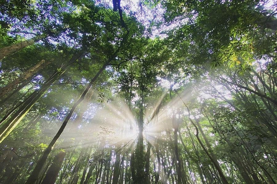 【彰化員林出發】雪霸國家公園、水雲吊橋、打必拉斯温泉公園一日遊