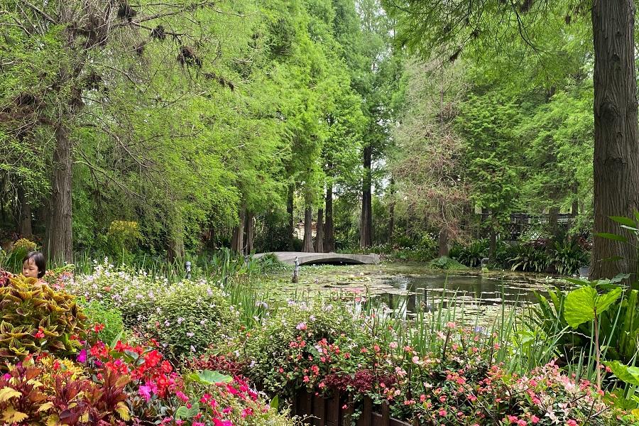 【台灣設計展】湖畔玻璃屋菁芳園景觀餐廳+小品組盆DIY、走讀田尾一日