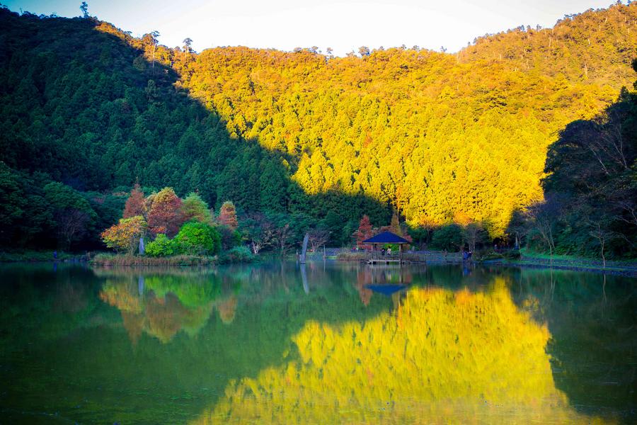 【秋賞楓紅春賞櫻】夢幻天堂明池湖、千年森林神木園、山林响宴調香入菜三日