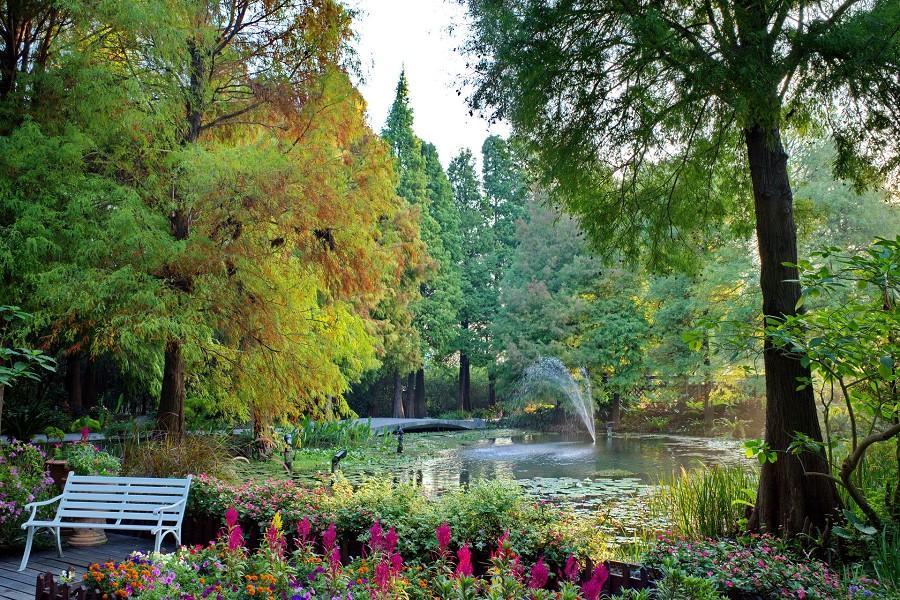 【台灣設計展】花園地景花佈院、湖畔玻璃屋菁芳園、走讀田尾、產業體驗二日