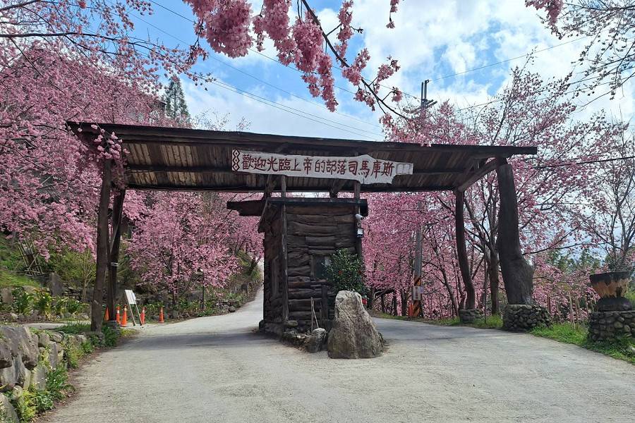 司馬庫斯巨木群、內灣老街、鎮西堡、新光部落山林迎春二日