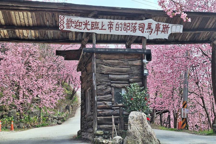 司馬庫斯巨木群、內灣老街、鎮西堡、新光部落山林迎春二日
