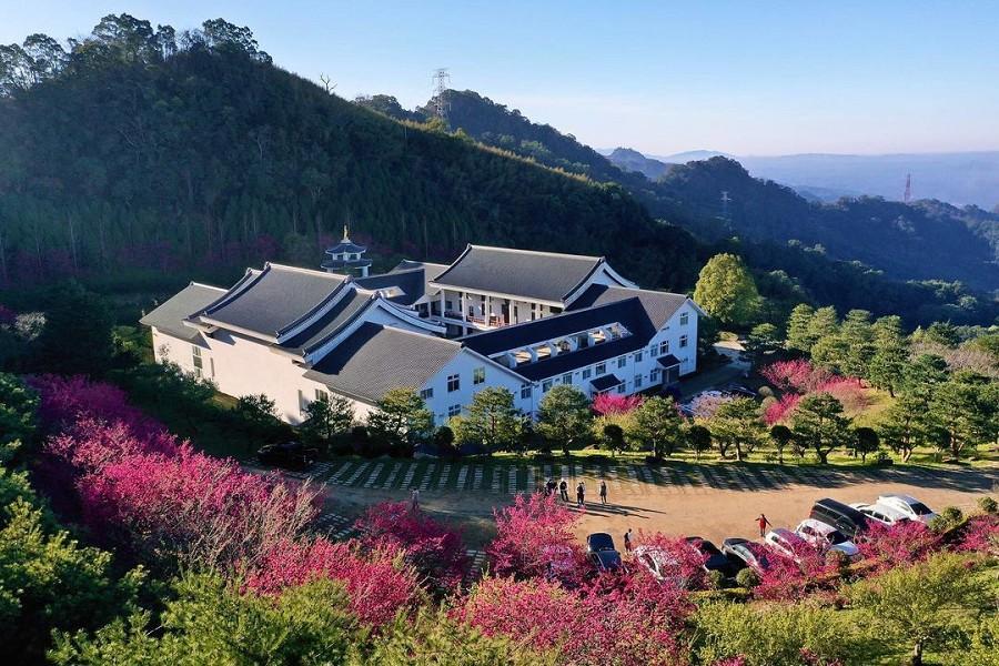 蓮臺山妙音淨苑櫻花秘境、七寶蓮池夢幻光影、穿越時光蘆竹湳古厝一日