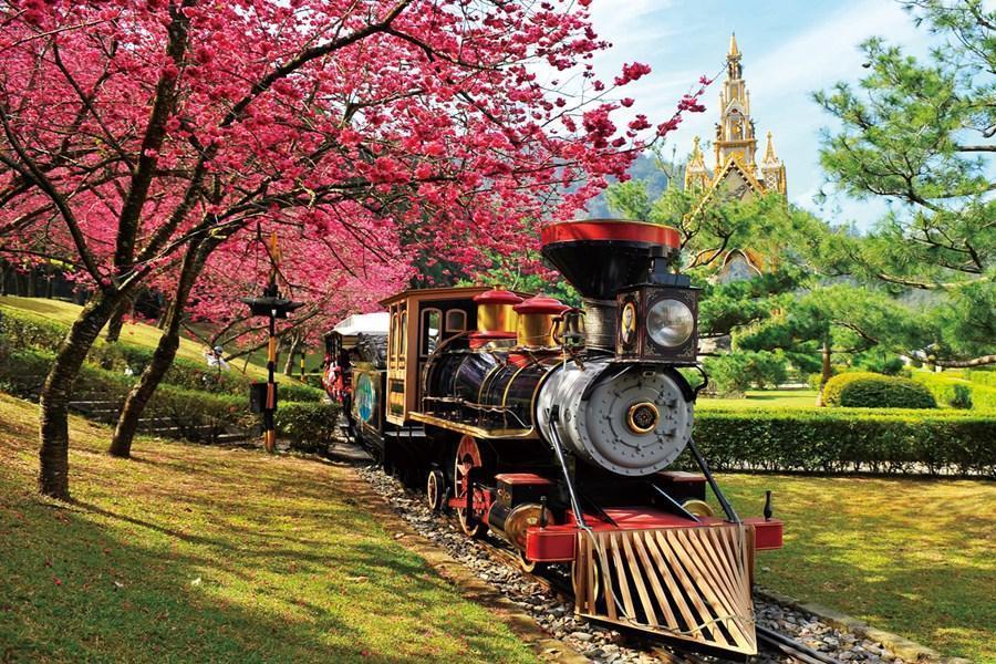 【2026九族櫻花季】春遊九族文化村~漫步櫻花樹林 一日