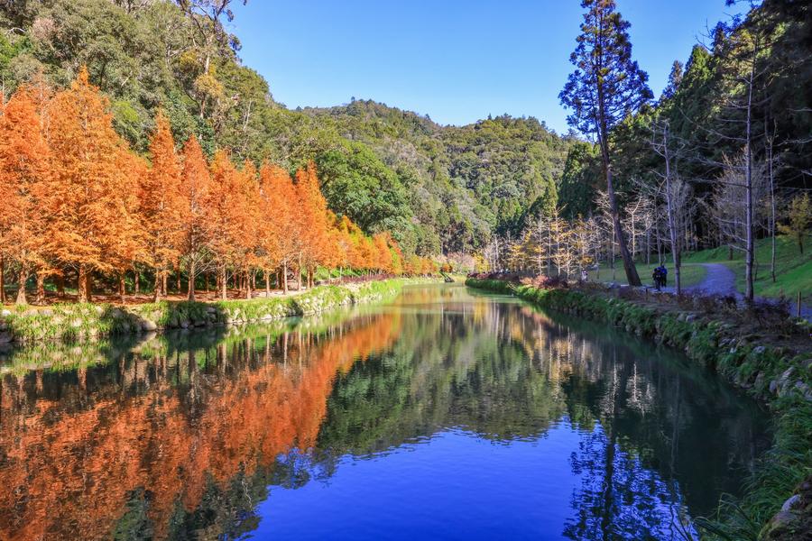 【風格旅居】杉林溪四季花語、太平雲梯夢幻茶園、府城職人匠心文化美食三日