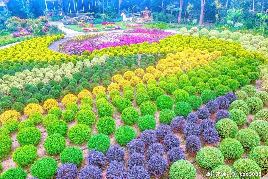 【花遊薑薑好】春日薰衣草、薑料理餐、注連繩DIY、新竹煙波 三日