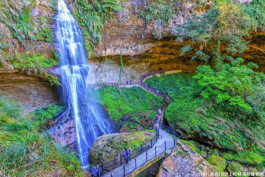 時間留給森林｜杉林溪花之饗宴×溪頭森林療癒×茶香手作×含餐無慮慢旅三日
