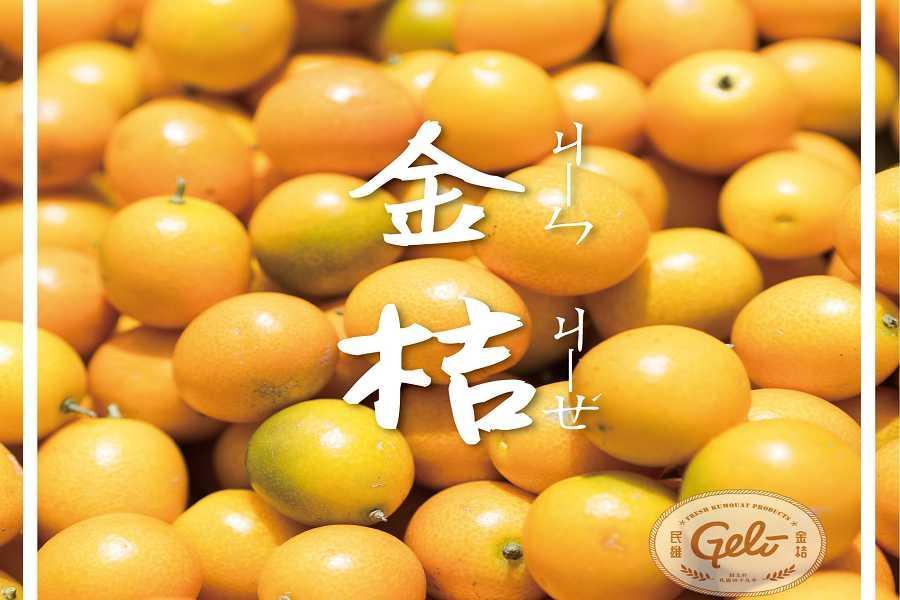 【大吉大利玩嘉義】小京都檜意森活村、金桔觀光工廠、歐風蓋亞莊園 一日