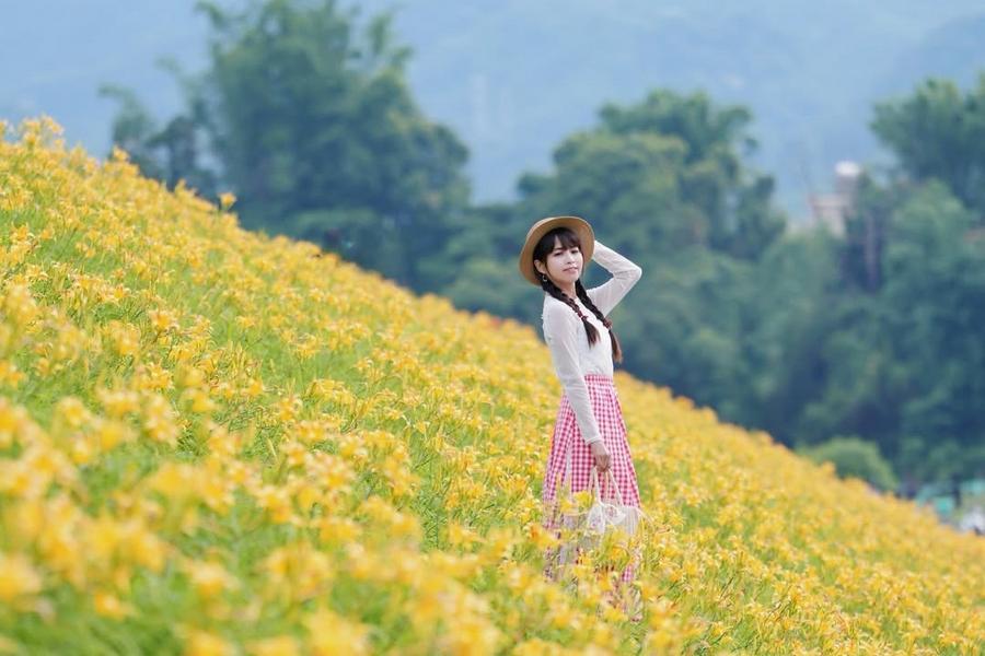 漫遊大湖社寮角金針花海、走訪泰雅文化園區、品味洗水坑豆腐街一日