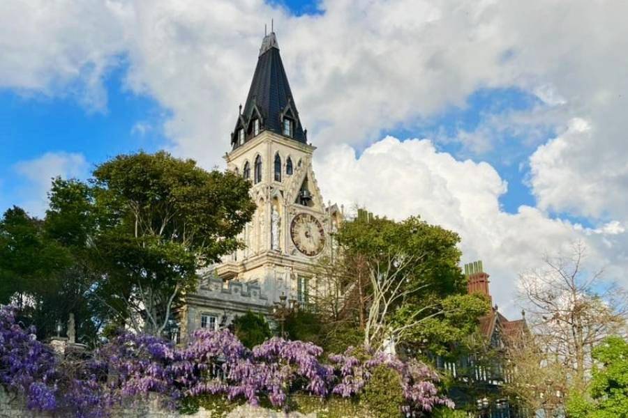 【最美中橫】清境老英格蘭、合歡山石門百岳、日月潭湖畔五星溫德姆湯饗三日