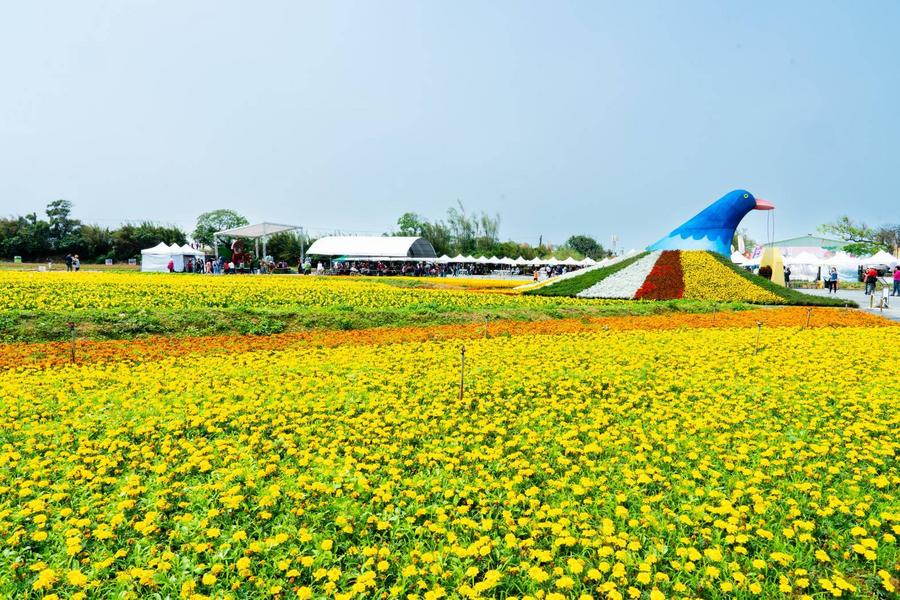 春日相芋七彩海芋季、犁頭山文山步道、昭和富岡老街、楊梅故事園區桃竹一日