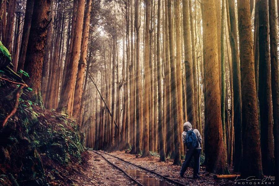【五星長榮文苑一泊二食】特富野步道森呼吸,故宮南院文化巡禮二日