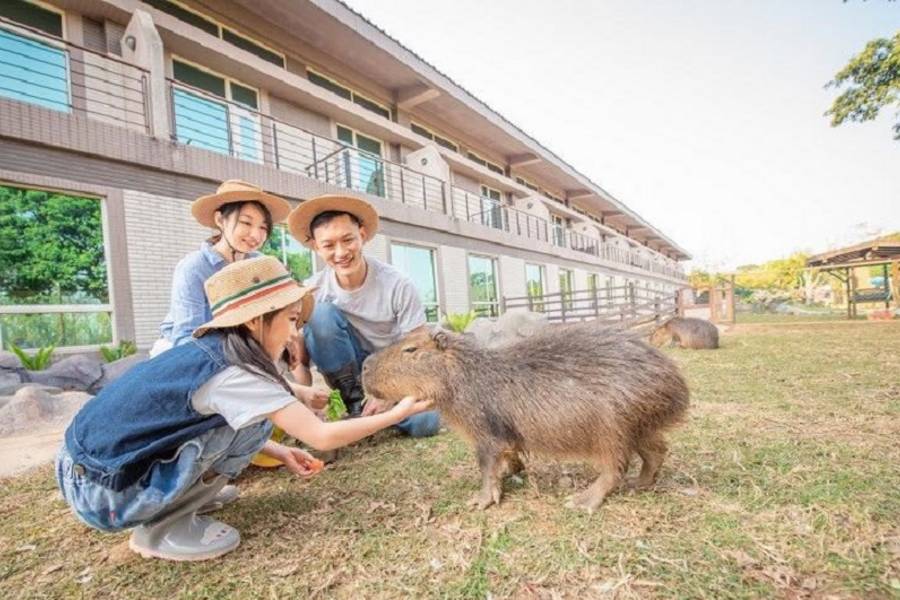 與動物共眠～關西六福莊一泊二食、暢玩六福村、原始侏羅紀感馬胎古道二日