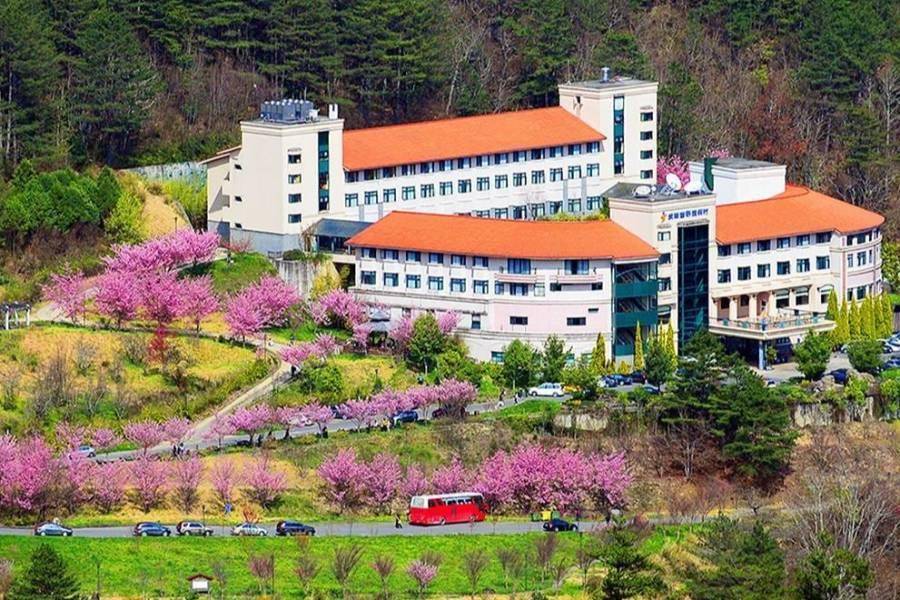 夜宿星空武陵富野、魯冰花海滿福壽山、雲霧天池藍茵湖、梨山風華三日