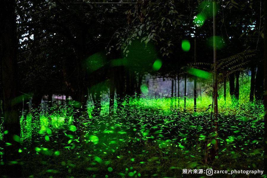 【螢光漫漫】那瑪夏賞火金姑、部落市集、甲仙芋冰一條街 一日