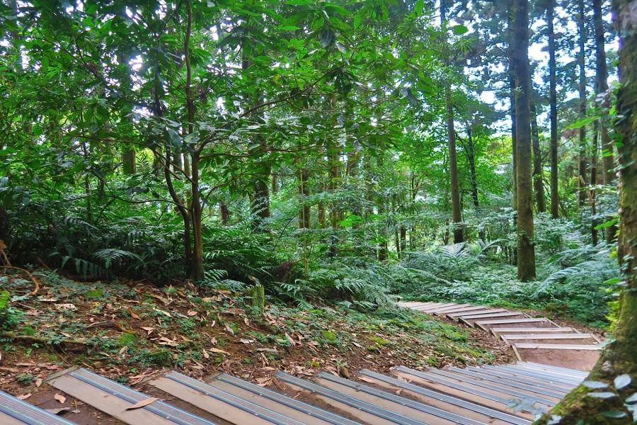 【綠遊東眼山】綠色東眼山森林園區、老茶廠聽故事、金級環保趣淘漫旅 二日