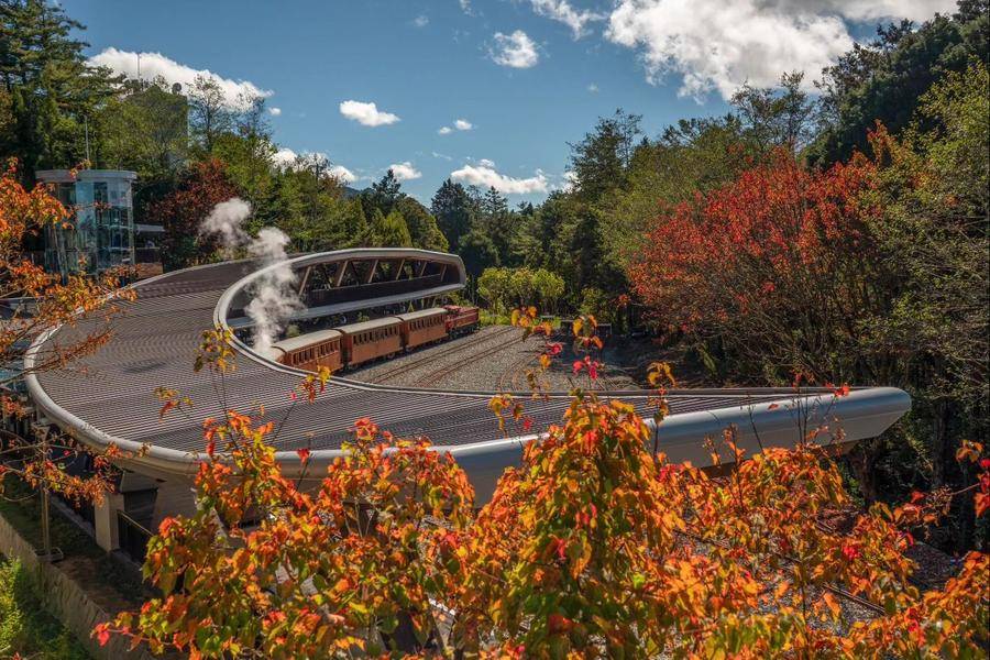 阿里山森鐵奮起湖嘉義美食、東港王船文化、大鵬灣華僑市場嚐鮮高鐵三日