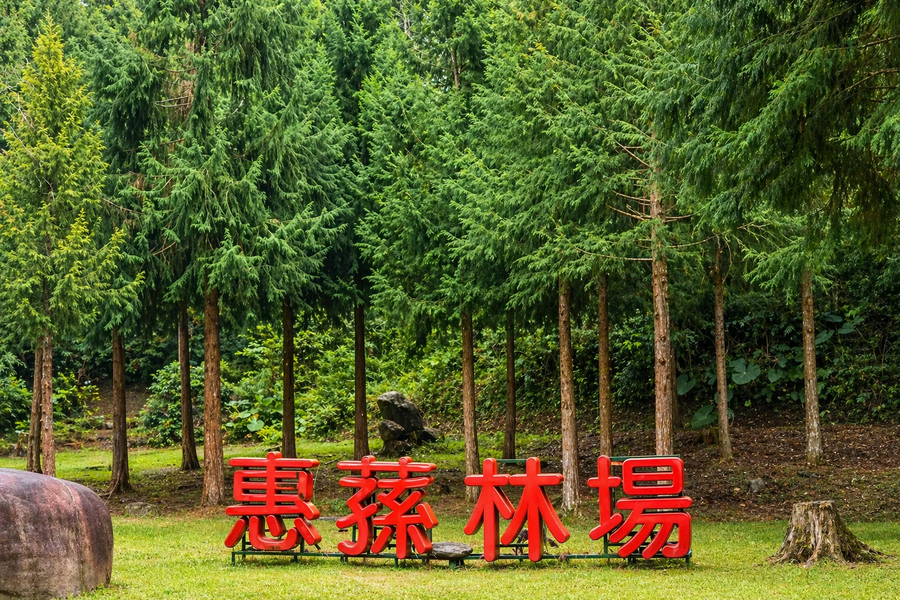 森夏拾光｜惠蓀林場×糯米橋古蹟×筍農體驗×一泊三食｜今埔里兩大床二日