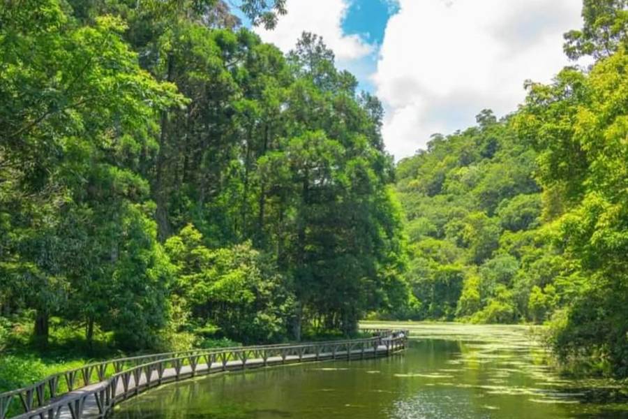 森林輕旅行～福山植物園、古早味麻糬DIY、葛瑪蘭露天美人湯 宜蘭二日