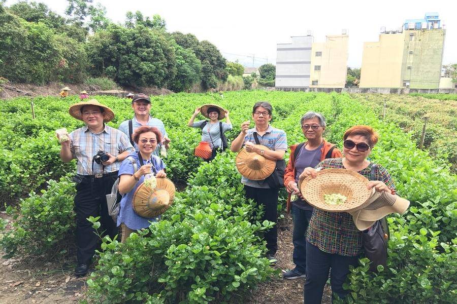 【茉莉之夏】彰化茉莉花園、八卦山風景區、彰化美食探索 一日