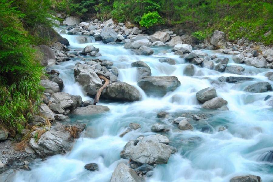 台灣三大林場巡禮「綠意仙境八仙山・享受森林療癒」谷關溫泉公園一日