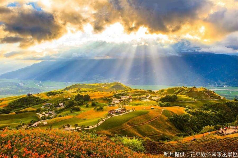 【忘憂金色花田】金針花毯美景、富里稻草藝術季、蜜滋賀溫泉一泊二食 二日