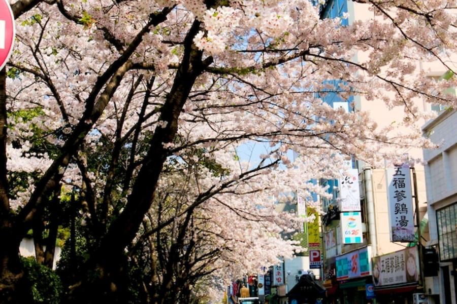 
                                                                                                        釜山樂天酒店
                                                                                                        