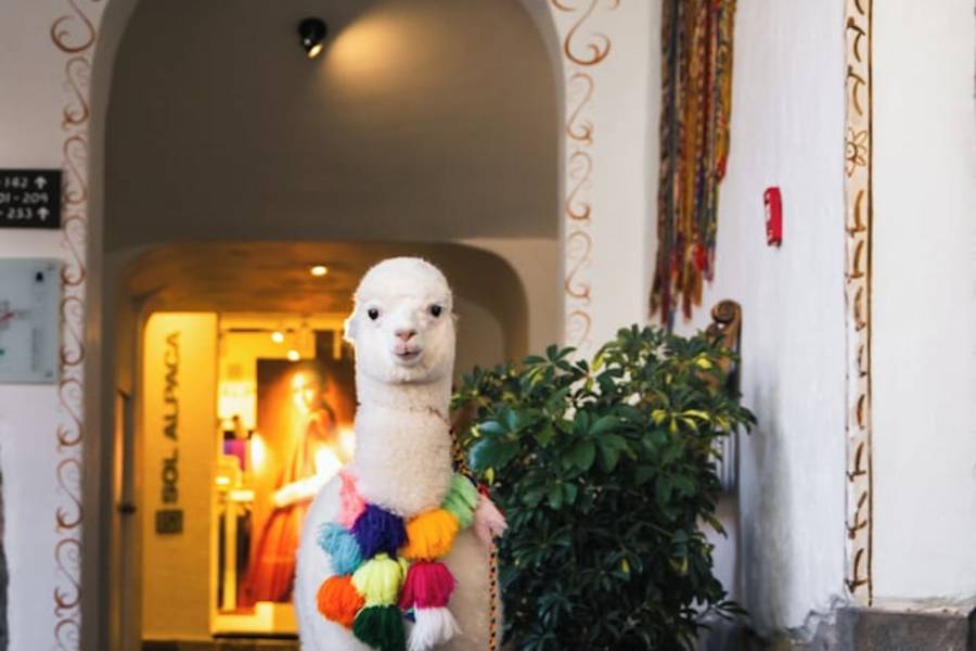 img22