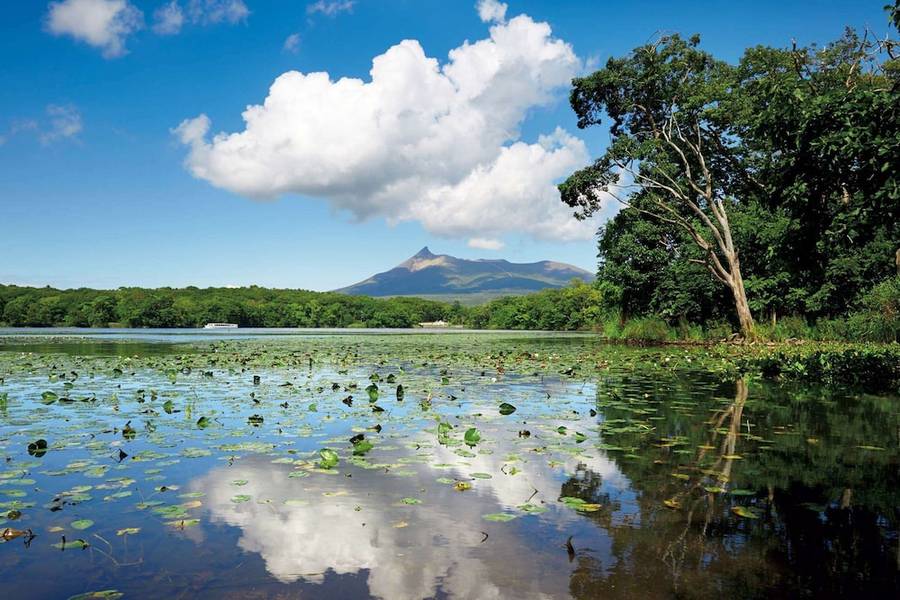 img91