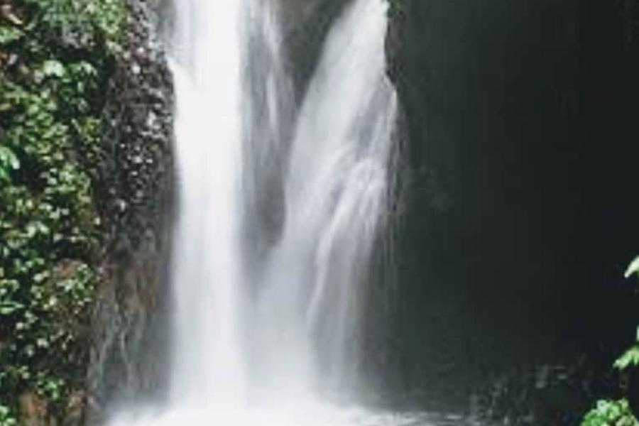 img3