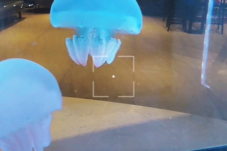 img30