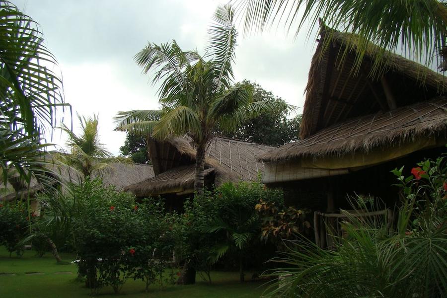 img45