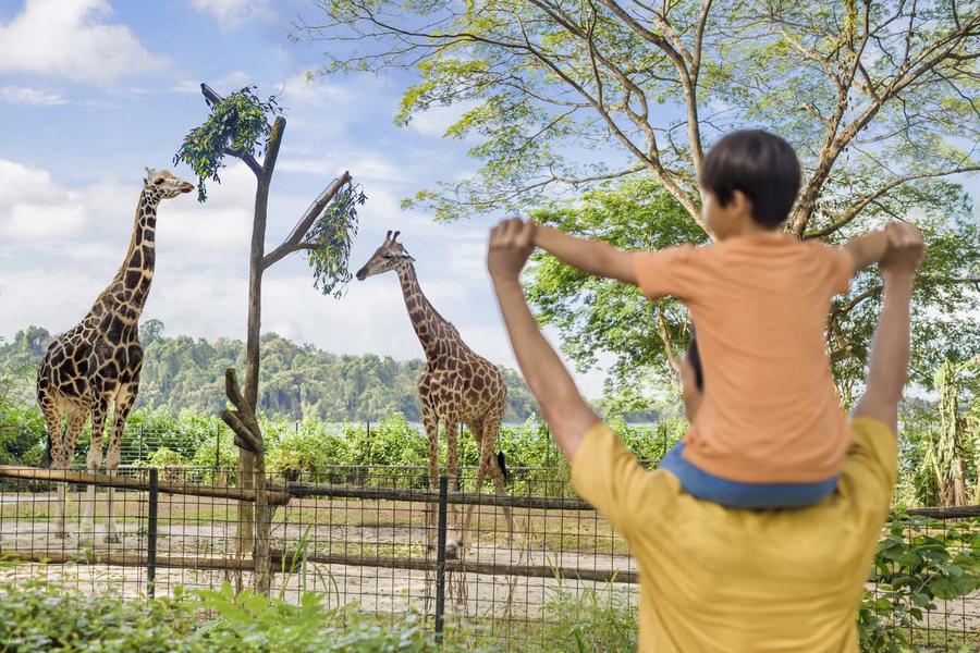 
                                                                                                        【新加坡】動物園門票 | (遊園車、叢林野趣早餐)
                                                                                                        