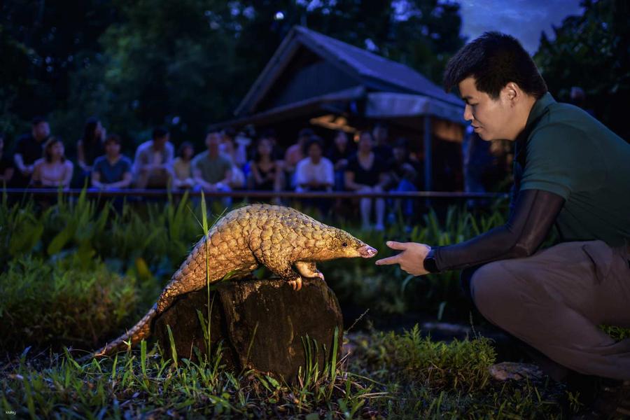 
                                                                                                        【新加坡】夜間野生動物園門票  (需自行預約)
                                                                                                        