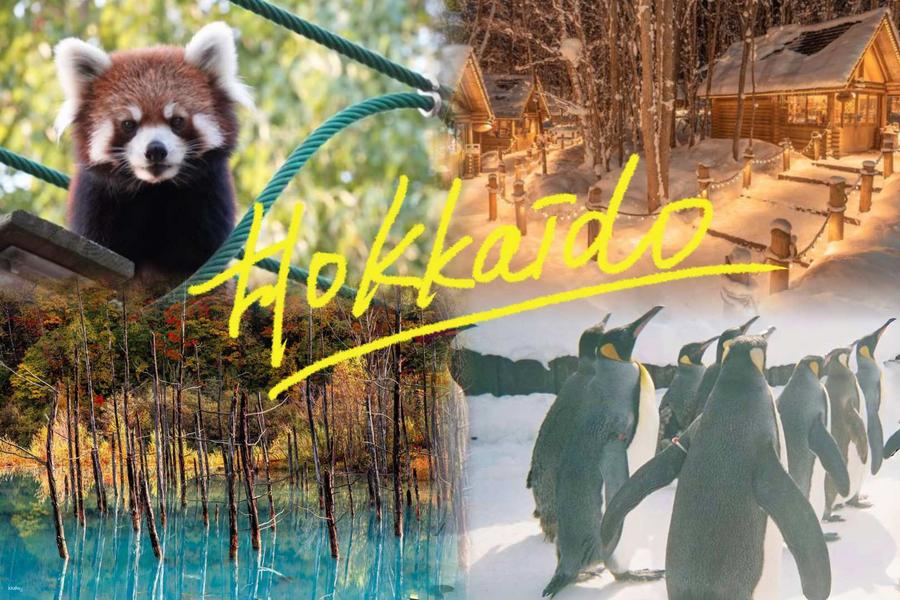 
                                                                                                        【 日本】北海道一日遊｜旭山動物園＆白鬚瀑布＆美瑛網紅樹＆特色農家自助餐＆夏季青池/冬季森林精靈露台｜中英文導遊同行（札幌出發）
                                                                                                        