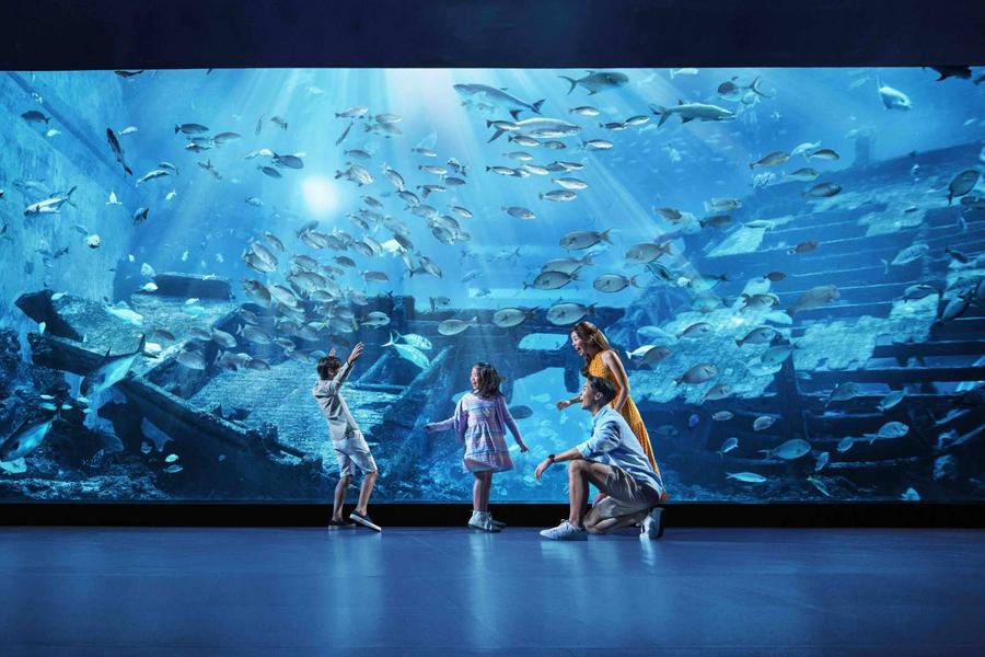 
                                                                                                        【新加坡】S.E.A.海洋館™
                                                                                                        