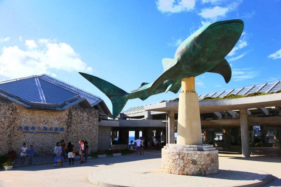 
                                                                        【日本】沖繩北部精選一日遊｜美麗海水族館、古宇利島、萬座毛｜中文導遊
                                                                        