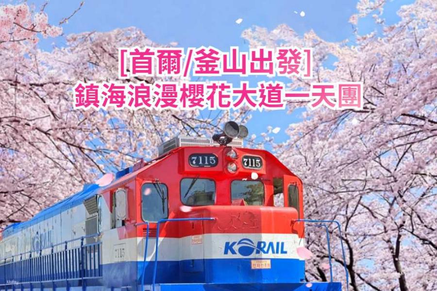 【韓國】 鎮海浪漫櫻花大道一天團｜首爾／釜山出發
