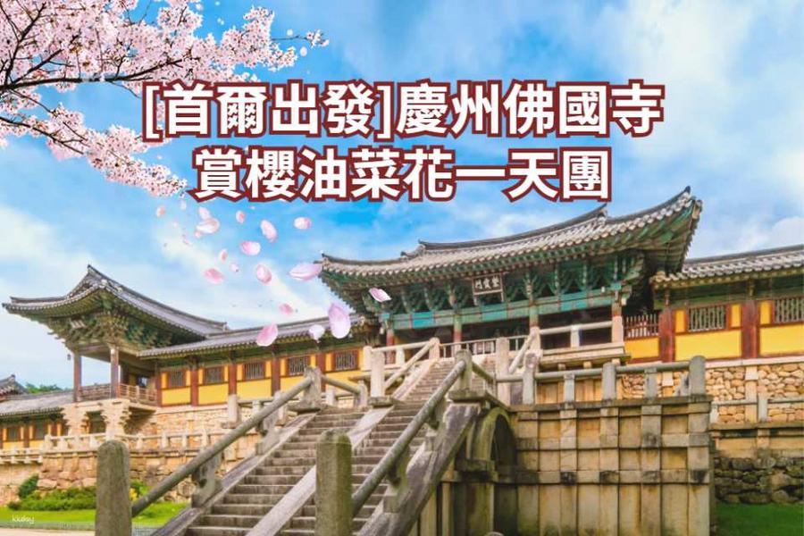 【韓國】慶州佛國寺賞櫻油菜花一日遊｜首爾出發