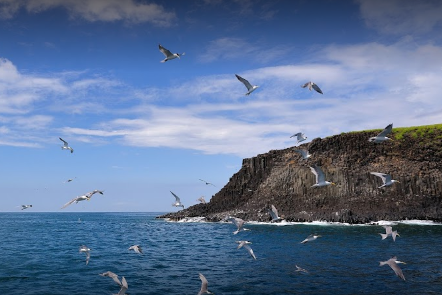 
                                                                                                        【迎夏澎湖】東海燕鷗、水上活動、潮間帶生態之旅三日遊
                                                                                                        