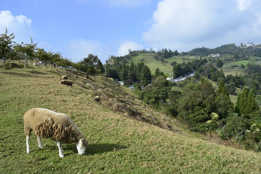 
                                                                                                        【日月潭】草屯毓繡美術館、妮娜歐風城堡、清境合歡山百岳三日
                                                                                                        