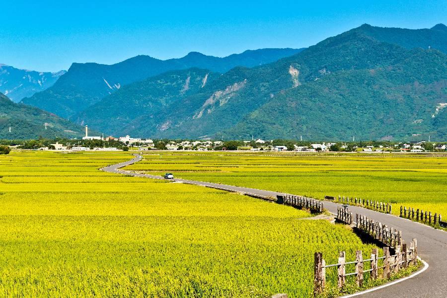 
                                                                                                        【花東網紅】池上縱谷伯朗武陵綠隧、加路蘭三仙台、石門班哨角天空步道二日
                                                                                                        