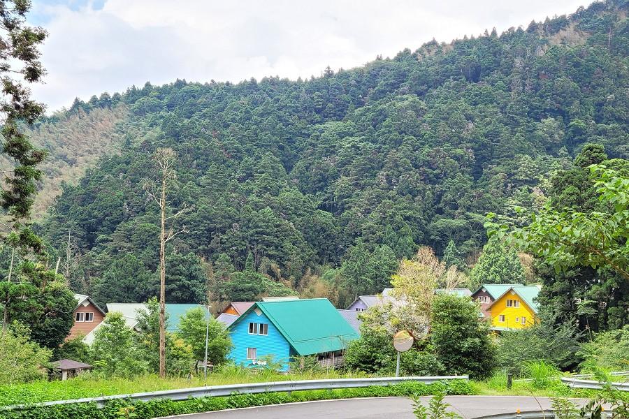 
                                                                                                        漫步雲端阿里山.來吉部落生態美食.得恩亞納合掌村茶園心旅行三日
                                                                                                        