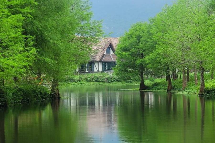 
                                                                                                        台東熱氣球嘉年華、太麻里金針花賞、花蓮理想秘境森光遊湖星巴克童話屋三日
                                                                                                        