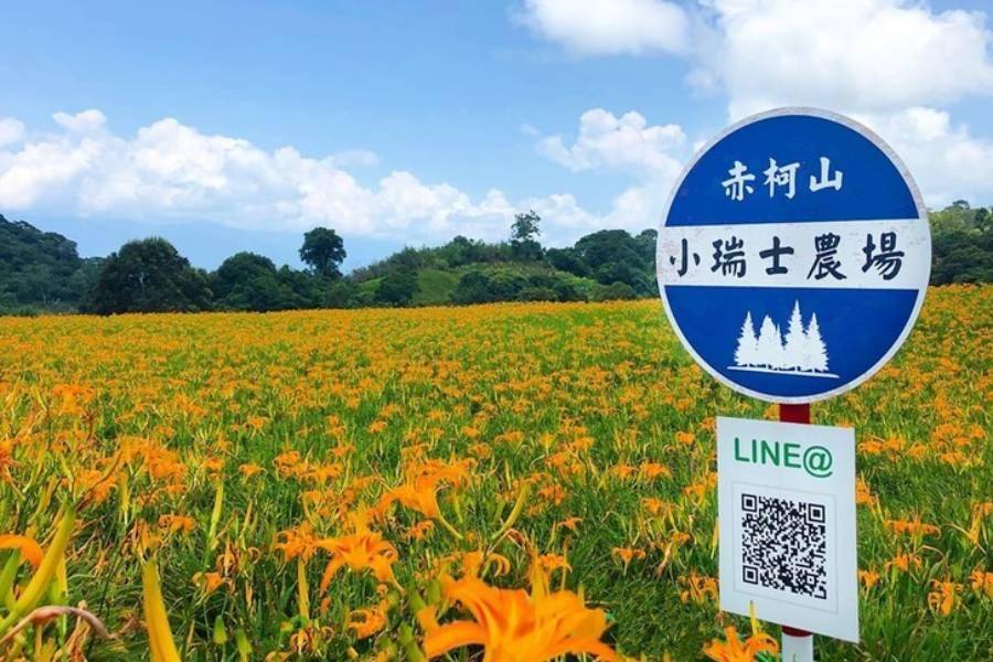 
                                                                                                        【台中出發】花蓮赤科山金針花賞、理想水岸星巴克二日(贈雙遊艇券)
                                                                                                        