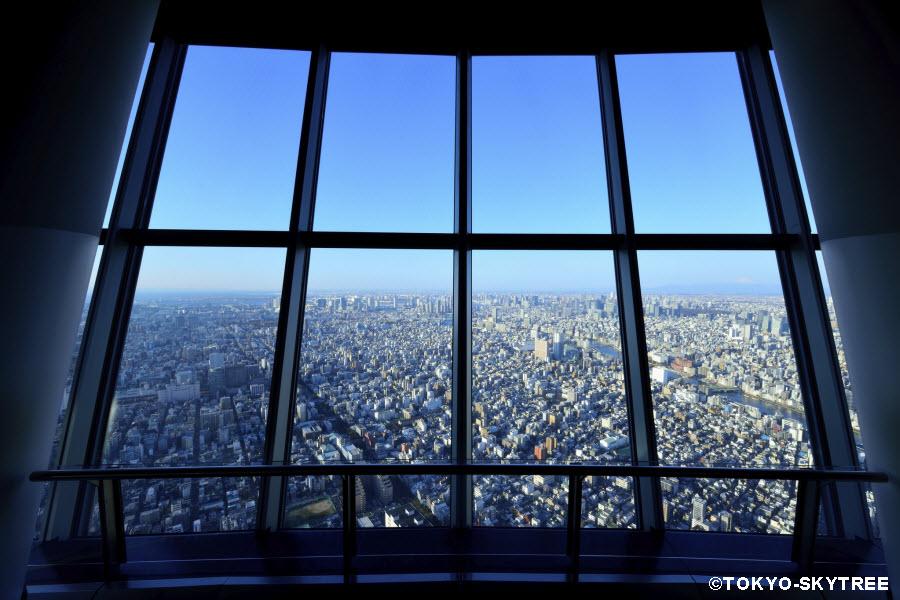 登上晴空塔】晴空天望甲板、淺草觀音寺、歡樂動畫館、橫濱東京迪士尼5