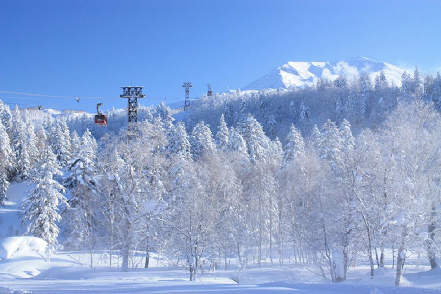 
                                                                                                        【北海道絕美道東】摩周藍寶石、阿寒鶴雅、旭岳雪山森旅、溫泉品蟹5日
                                                                                                        