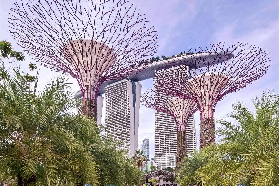 
                                                                                                        【新加坡旅遊】濱海灣花園、超級樹、輕鬆自由之旅 4日
                                                                                                        