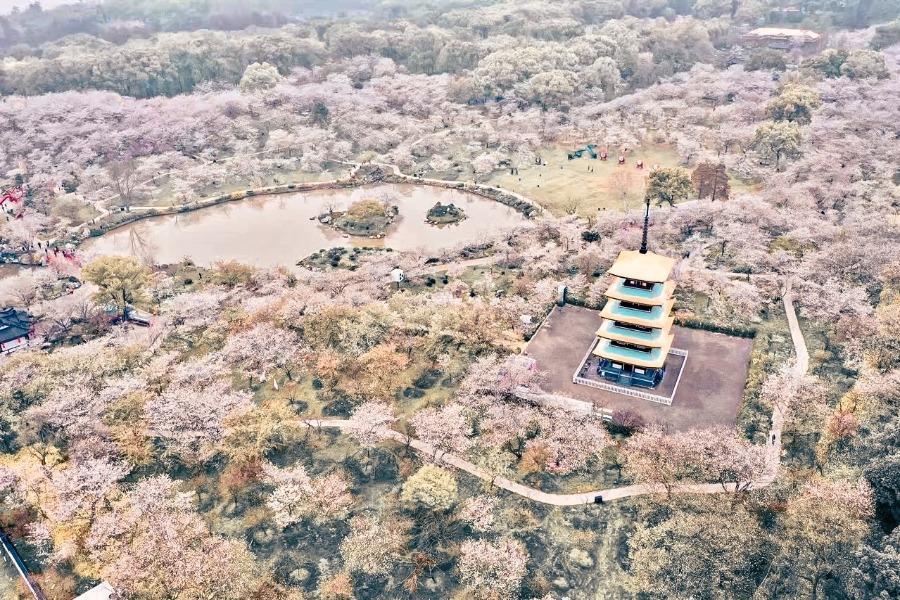 
                                                                                                        尊爵武漢【賞櫻季】張家界森林公園、鳳凰古城、天門山、大峽谷玻璃橋8日
                                                                                                        