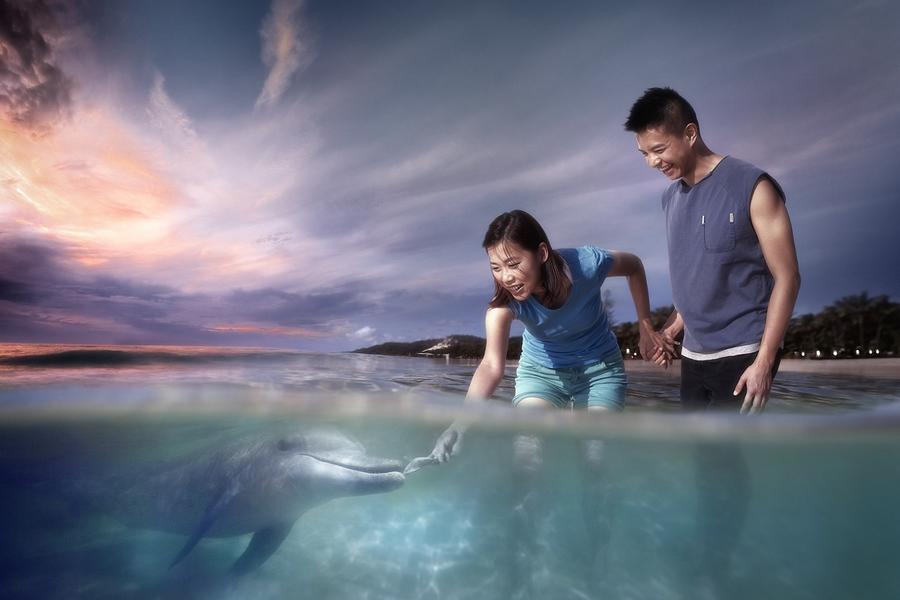 
                                                                                                        【戀戀海豚島】世界唯一餵海豚、天閣露瑪渡假村、華納世界、黃金海岸7日
                                                                                                        